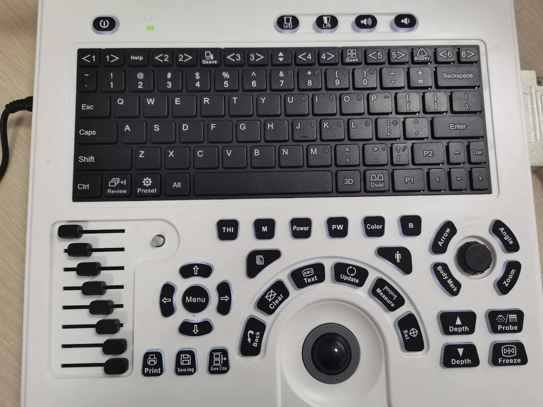 Machine portative d'ultrason de Doppler de couleur d'OB GYN dans la grossesse