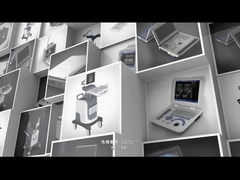 Profil de l'entreprise