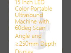 Appareil d'échographie portable couleur LED 15 pouces avec angle de balayage de 60 degrés et affichage de profondeur ≥250 mm